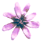 icon_daisylavender3.gif