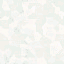 texture_white.gif